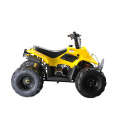 50cc / 70cc / 110cc Kids Mini ATV with One Seat (MDL GA001)